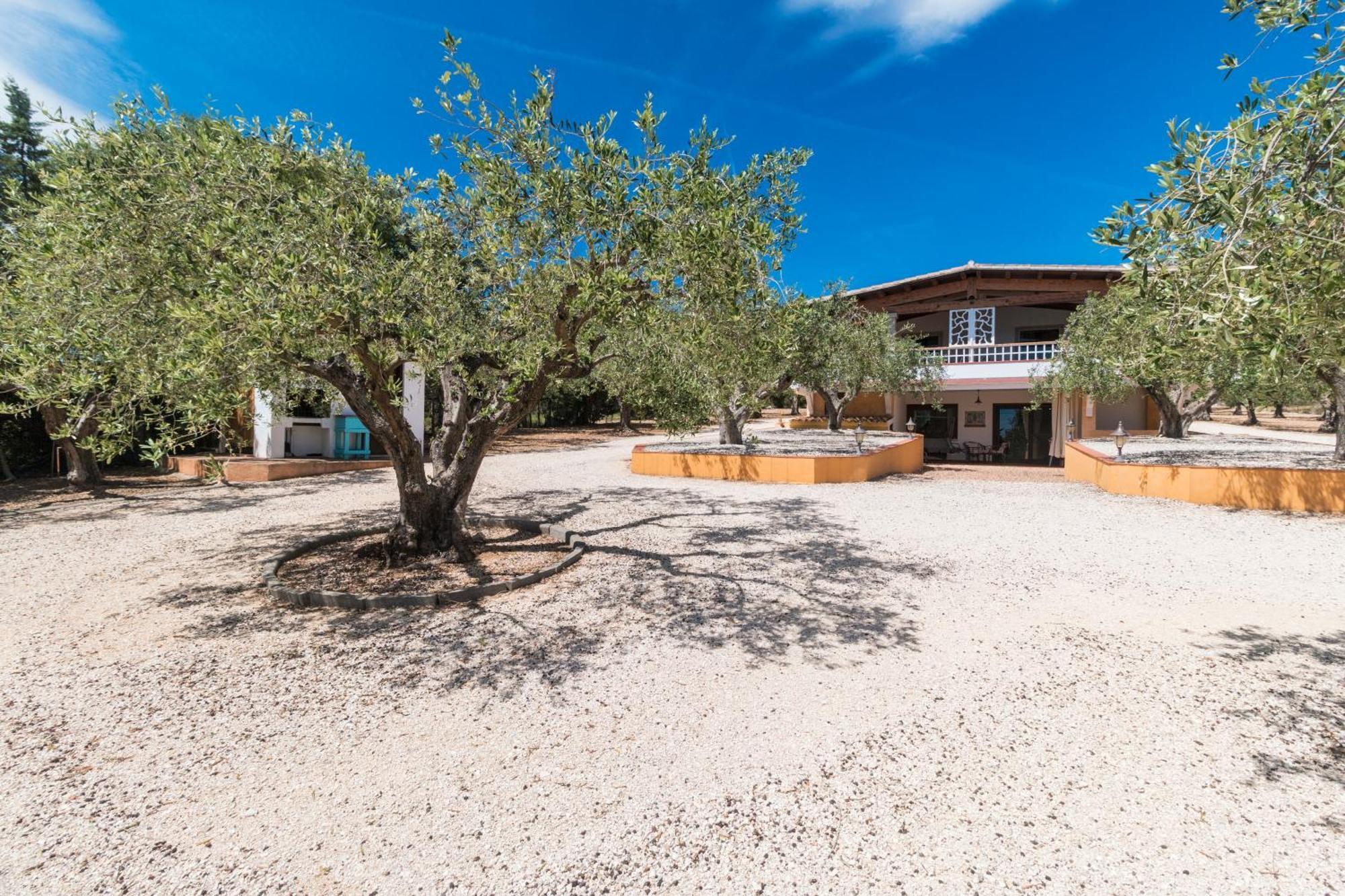Rustico Degli Ulivi Appartement
