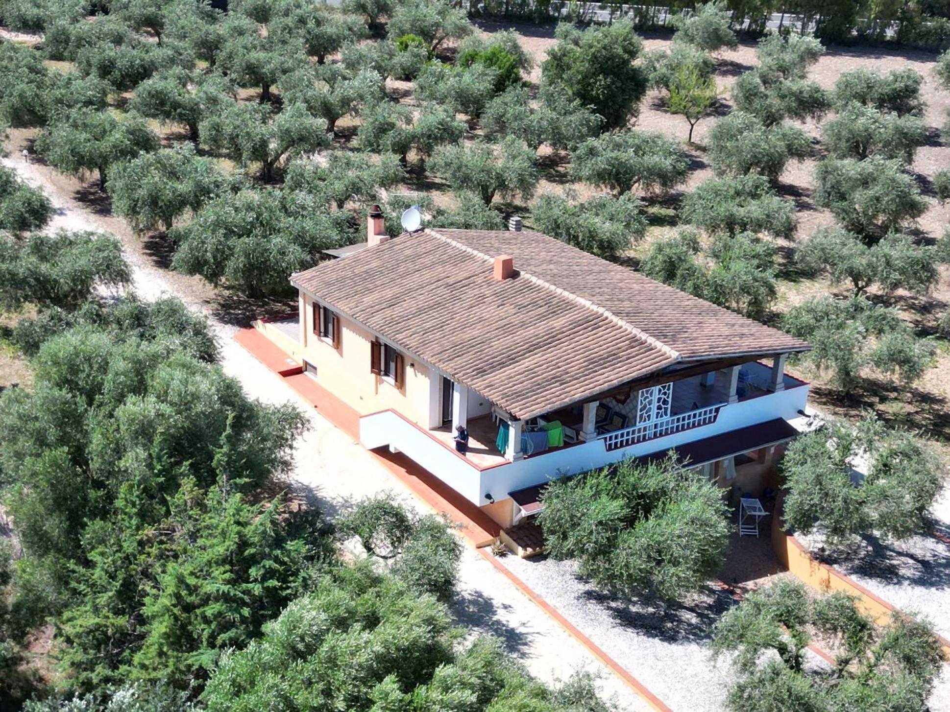 Rustico Degli Ulivi Appartement *